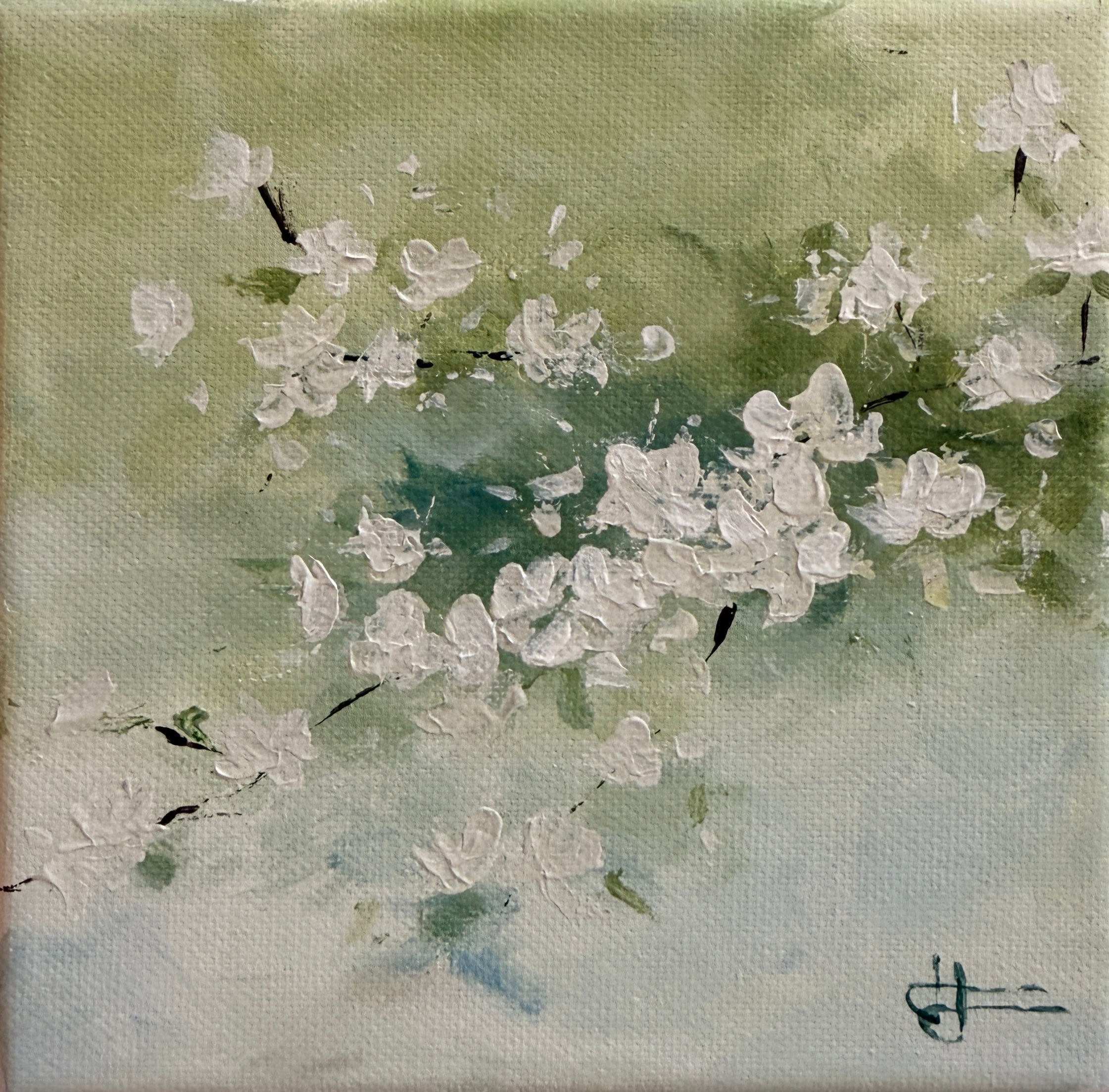 Flores