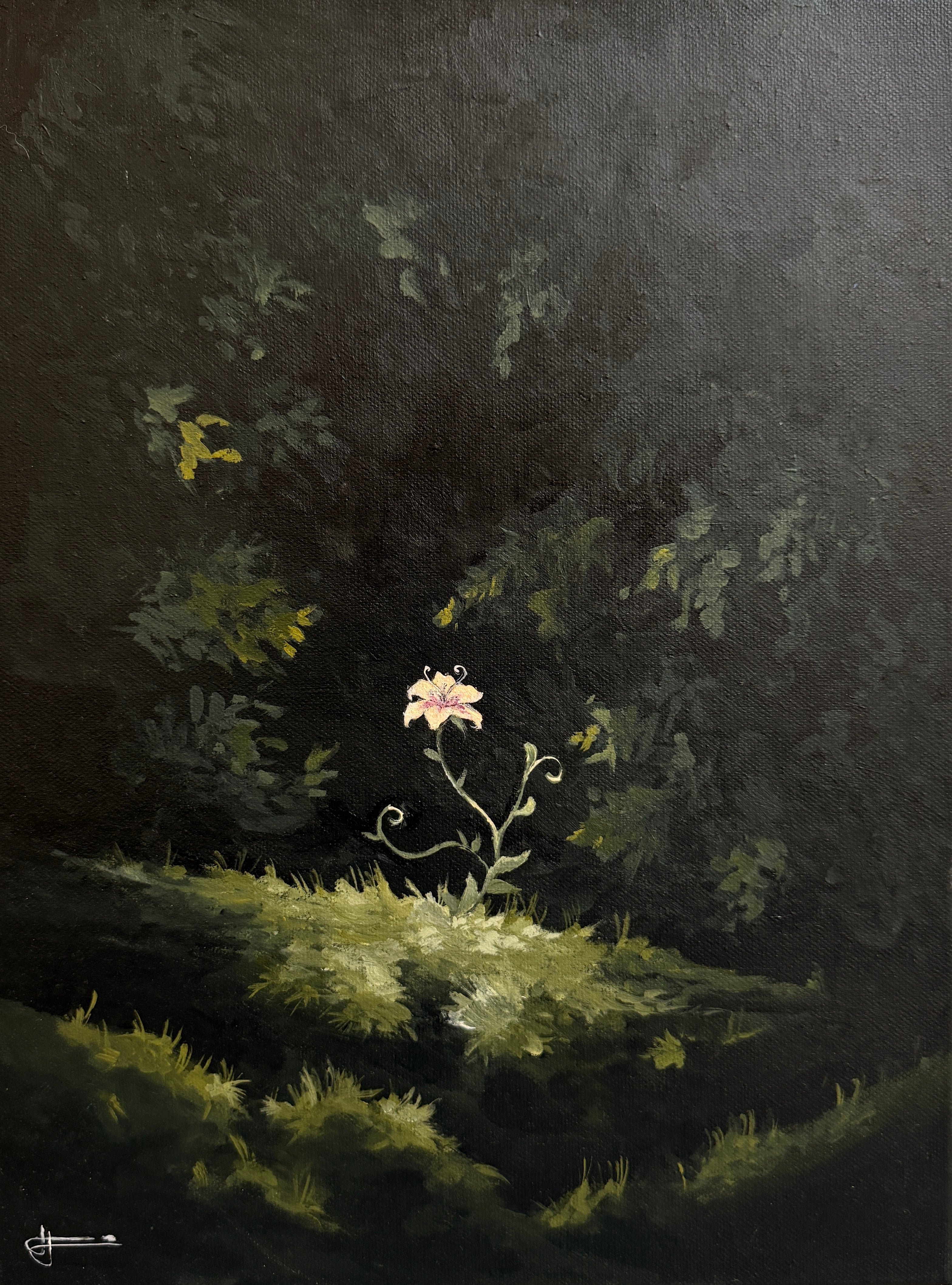 Flor Rapunzel