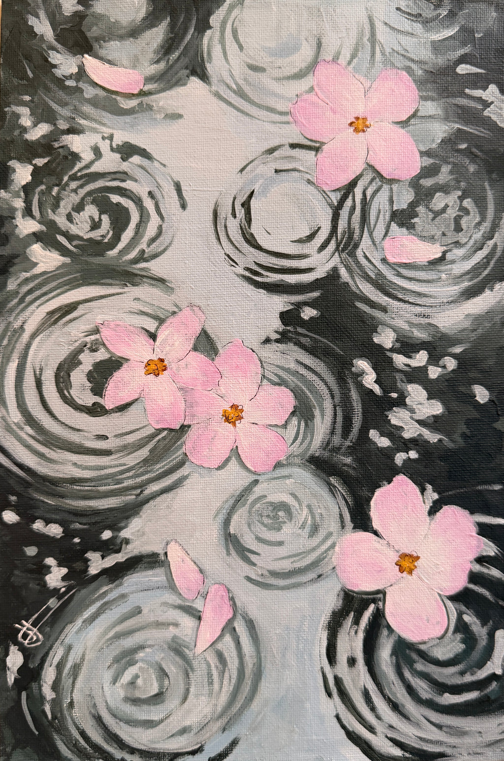 Sakuras
