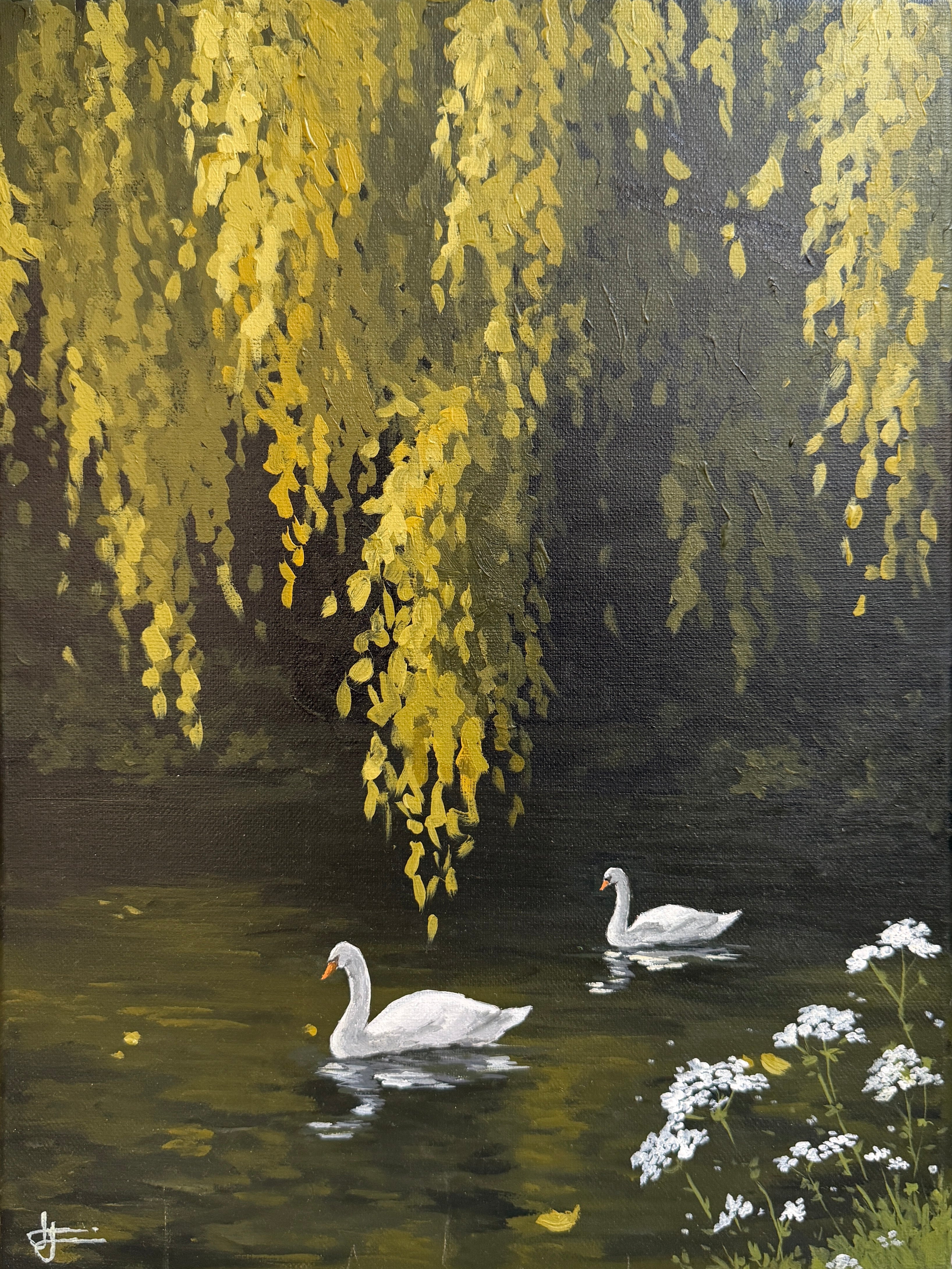 Cisnes